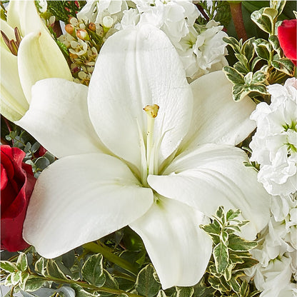 Twinkle Lights Bouquet –  Peonia Flowers Llc, Lakewood NJ