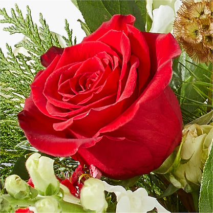 Deck the Halls Bouquet –  Peonia Flowers Llc, Lakewood NJ