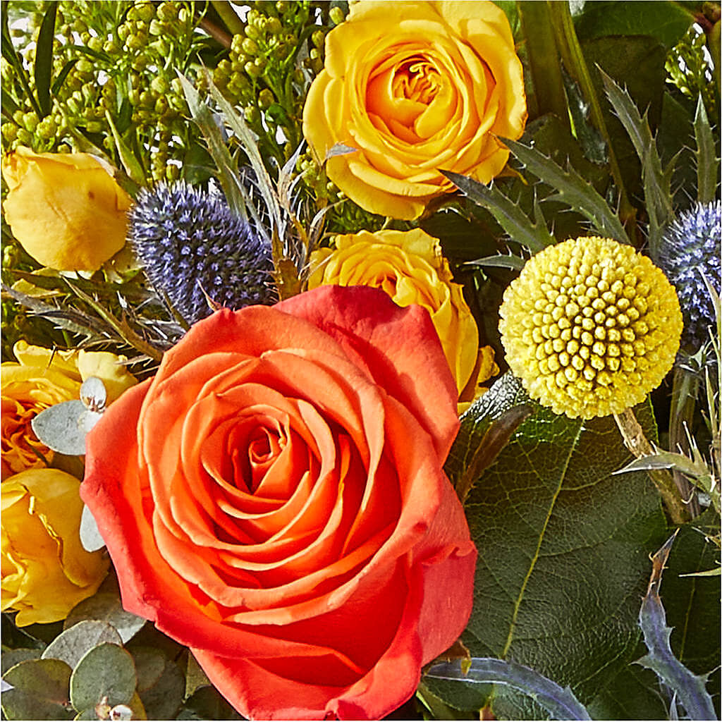 Disco Bouquet –  Peonia Flowers Llc, Lakewood NJ