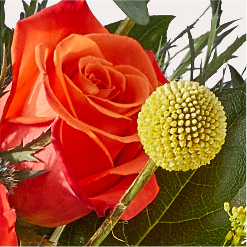 Disco Bouquet –  Peonia Flowers Llc, Lakewood NJ