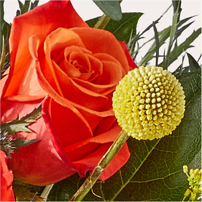 Disco Bouquet –  Peonia Flowers Llc, Lakewood NJ