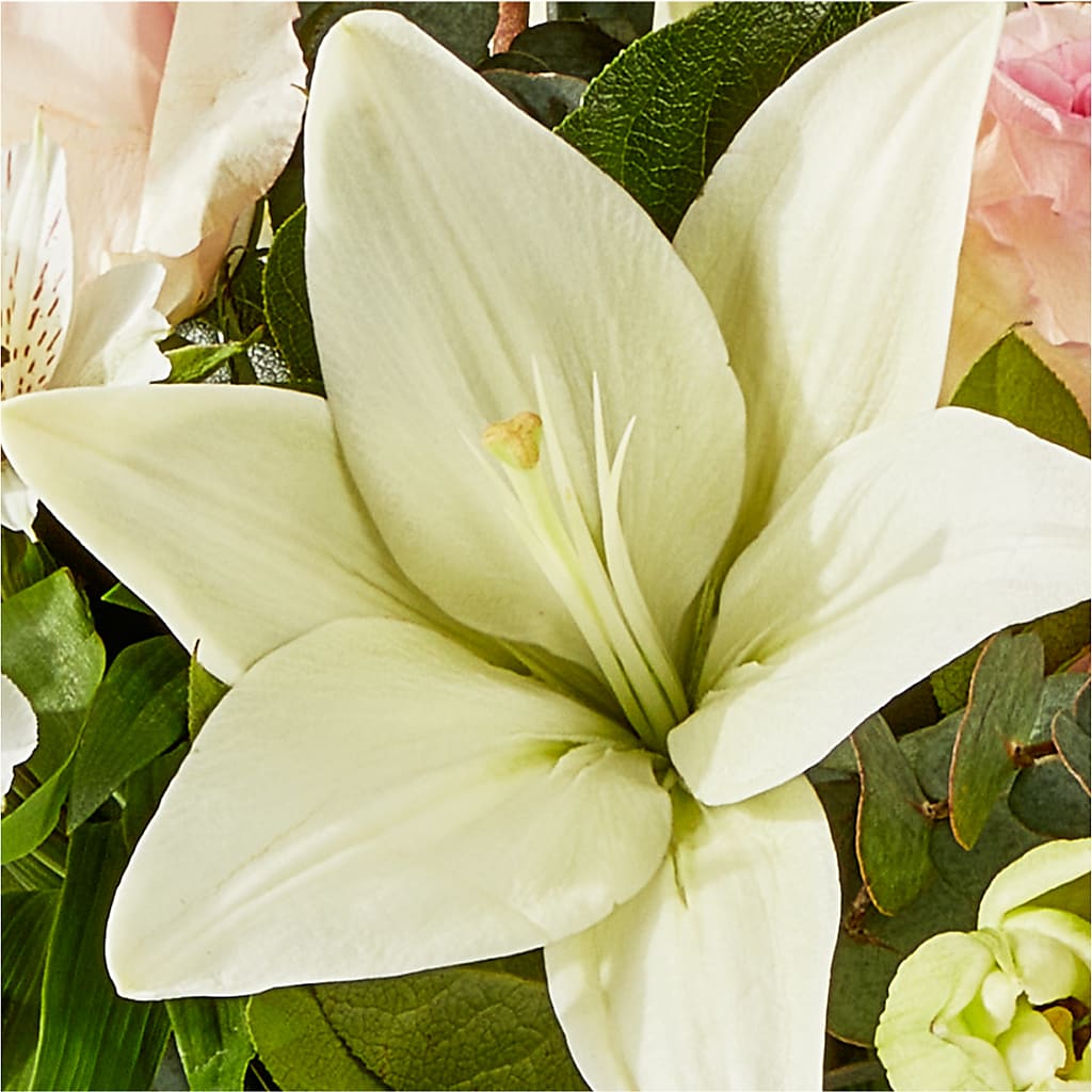 Ballet Slippers Bouquet –  Peonia Flowers Llc, Lakewood NJ