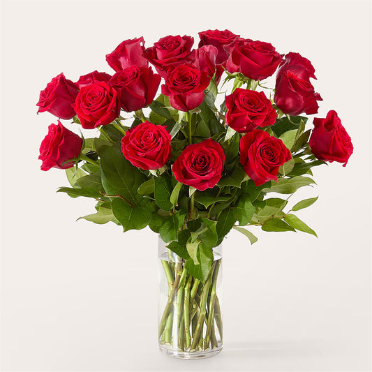 The One Red Rose Bouquet –  Peonia Flowers Llc, Lakewood NJ
