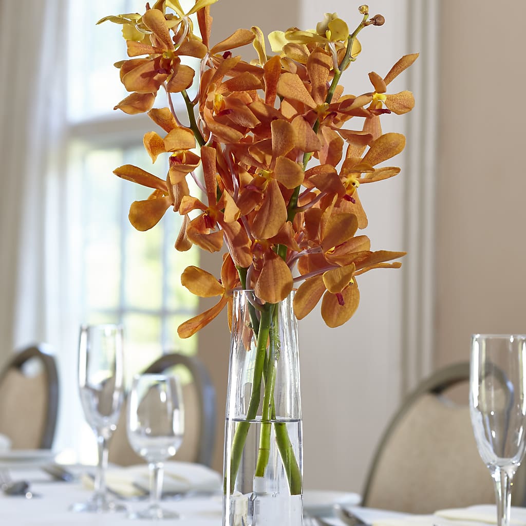 Orange Mokara Bud Vase –  Peonia Flowers Llc, Lakewood NJ