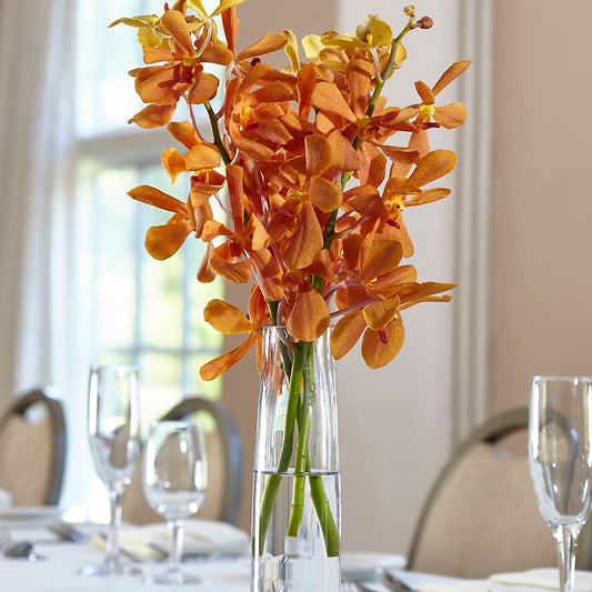 Orange Mokara Bud Vase –  Peonia Flowers Llc, Lakewood NJ