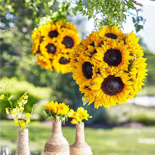 Sublime Garden Hanging Arrangement –  Peonia Flowers Llc, Lakewood NJ