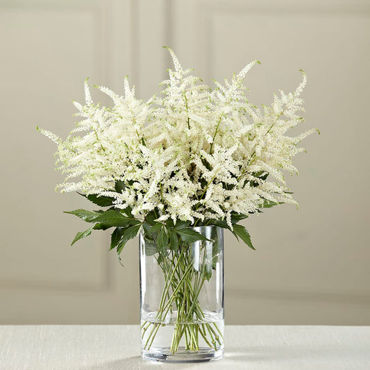 White Astilbe Bouquet –  Peonia Flowers Llc, Lakewood NJ