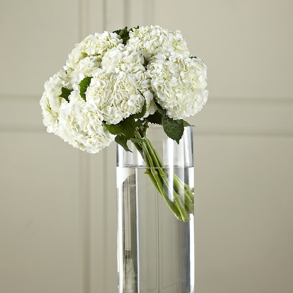 White Hydrangea Hand-Tied Bouquet –  Peonia Flowers Llc, Lakewood NJ