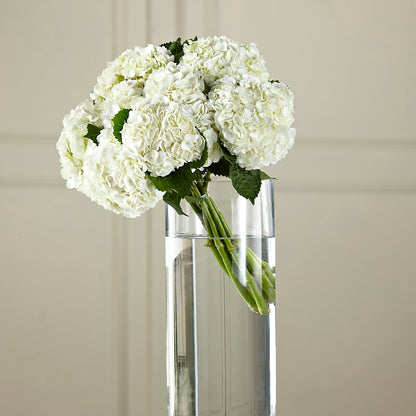 White Hydrangea Hand-Tied Bouquet –  Peonia Flowers Llc, Lakewood NJ