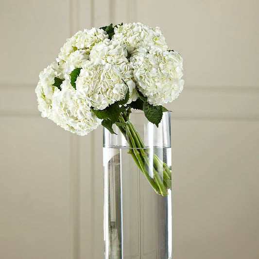White Hydrangea Hand-Tied Bouquet –  Peonia Flowers Llc, Lakewood NJ