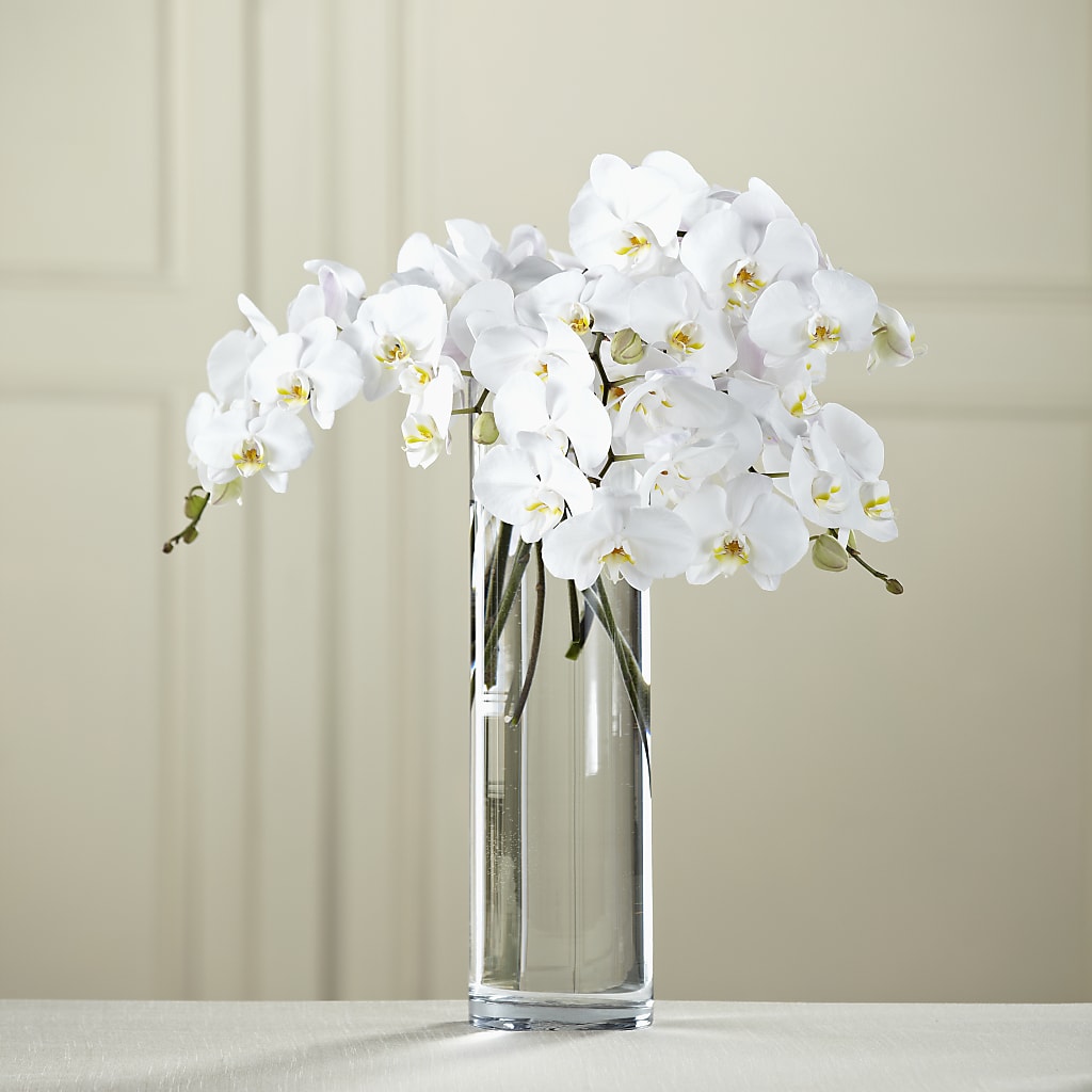 White Phalaenopsis Bouquet –  Peonia Flowers Llc, Lakewood NJ