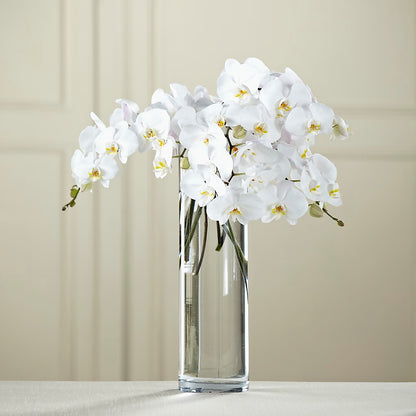 White Phalaenopsis Bouquet –  Peonia Flowers Llc, Lakewood NJ