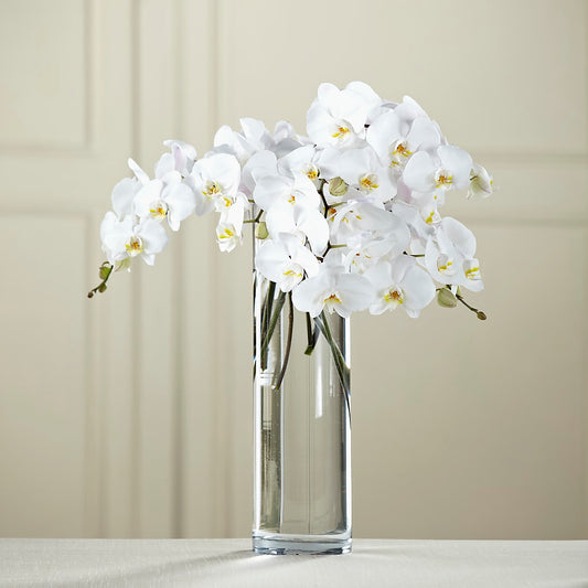 White Phalaenopsis Bouquet –  Peonia Flowers Llc, Lakewood NJ