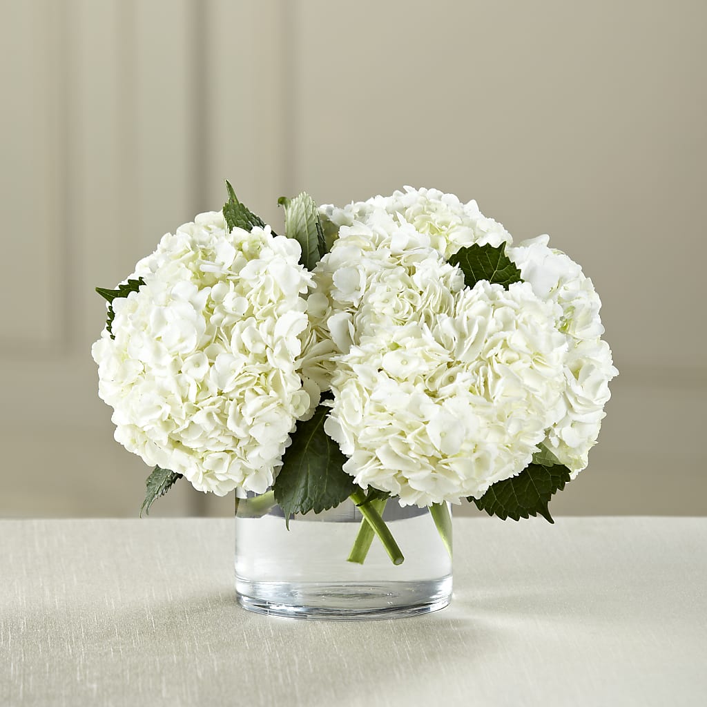 White Hydrangea Bouquet –  Peonia Flowers Llc, Lakewood NJ