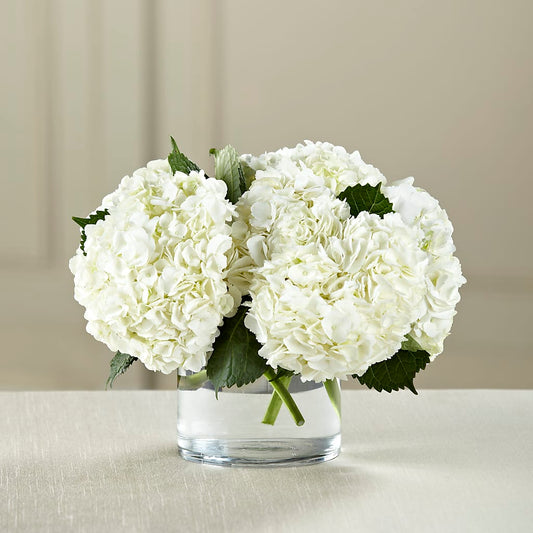 White Hydrangea Bouquet –  Peonia Flowers Llc, Lakewood NJ